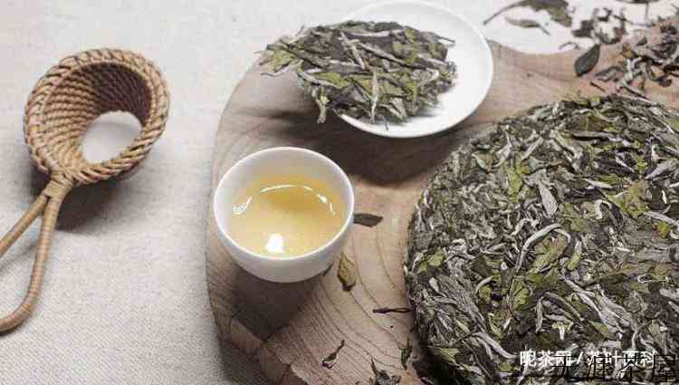 红茶和白茶的区别
