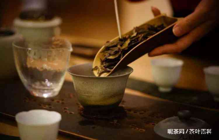 白茶功效及禁忌