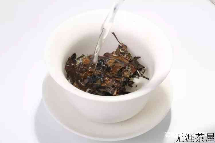 白茶是什么茶有什么功效