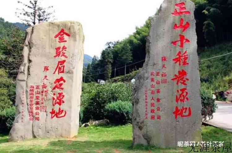 正山小种的正山是地名吗