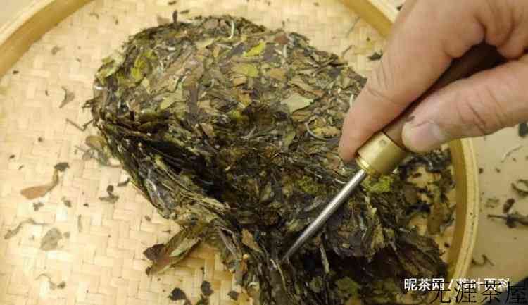 白茶产地主要在福鼎哪几个镇
