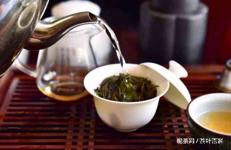 喝白茶坏处