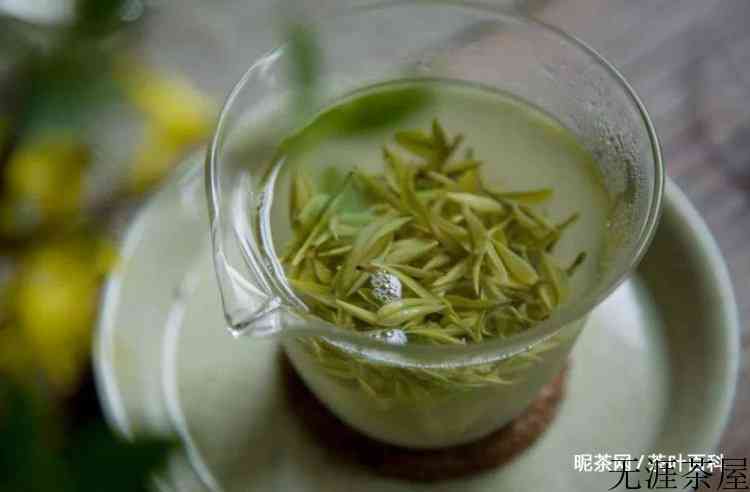 安吉白茶产地