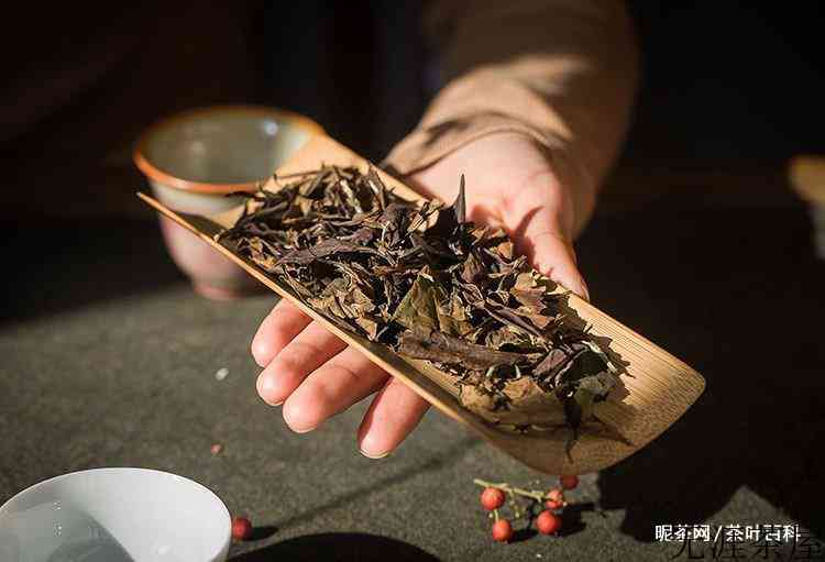 白茶的四个分类