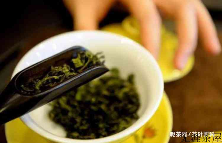 铁观音是什么茶怎么冲泡方法