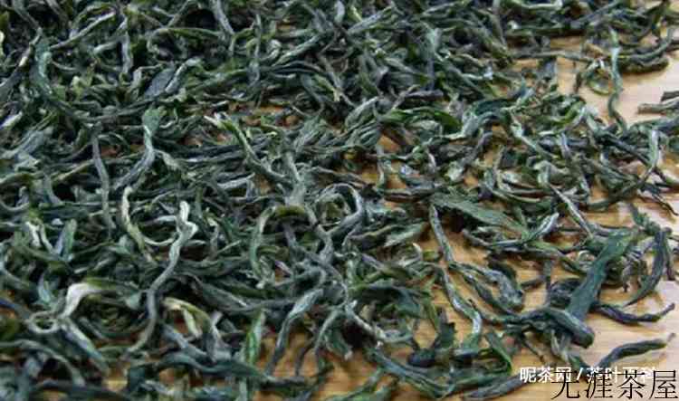 崂山绿茶的泡法