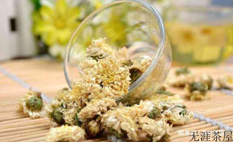 菊花有几种