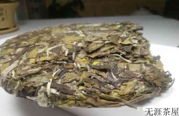 白茶有哪些品种
