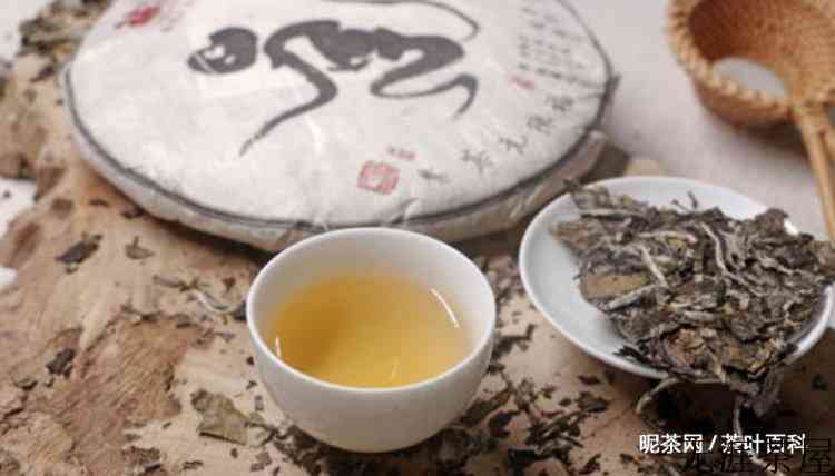 白茶功效与禁忌