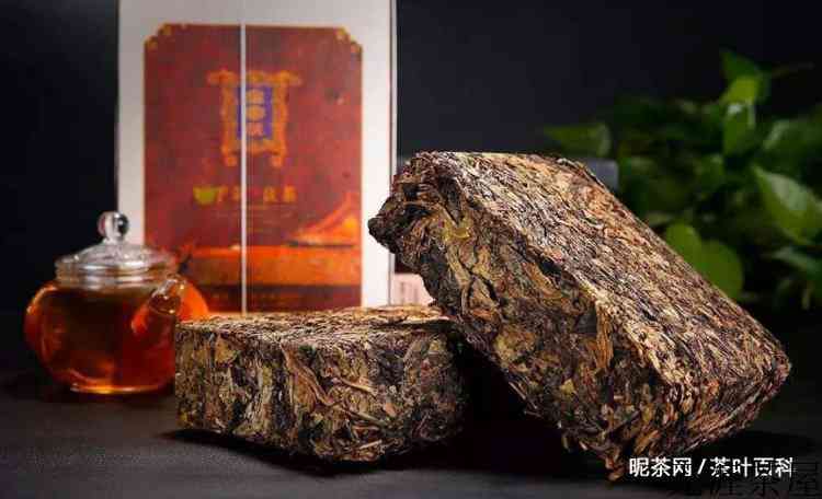 六大茶类适合什么人喝