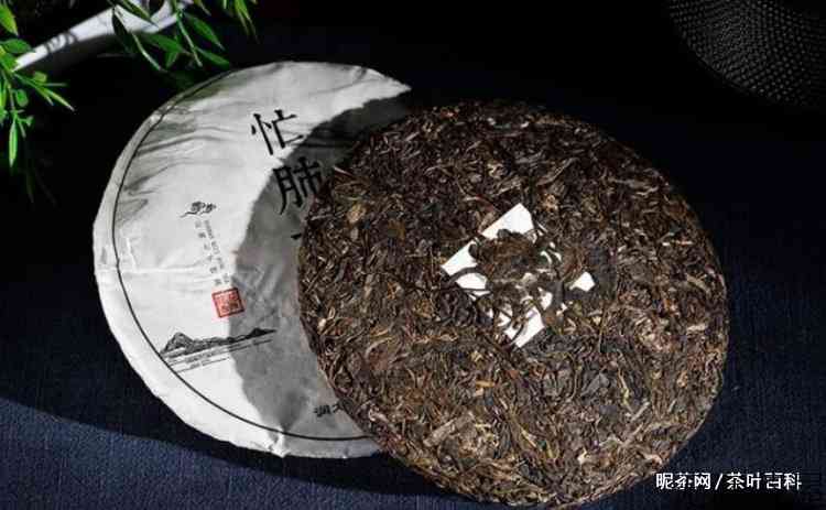 泡茶第一泡要倒掉吗