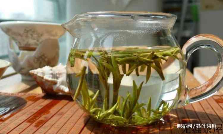 紫笋茶的功效和作用