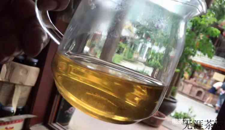 天门山普洱茶特点