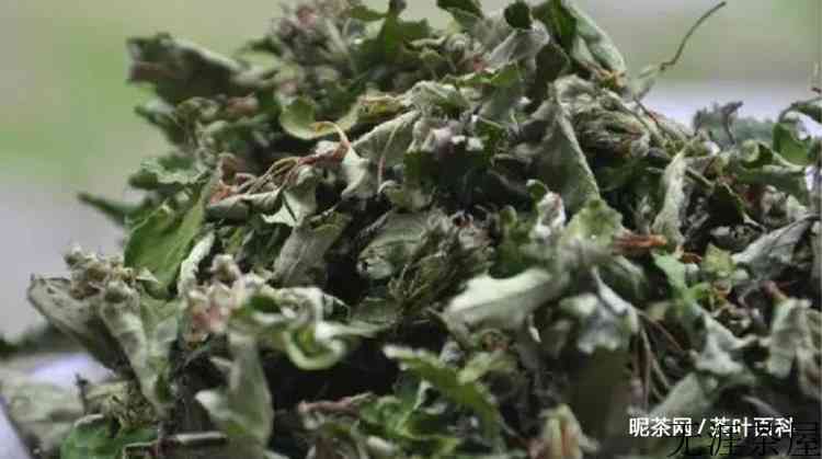 俄色茶的功效及禁忌