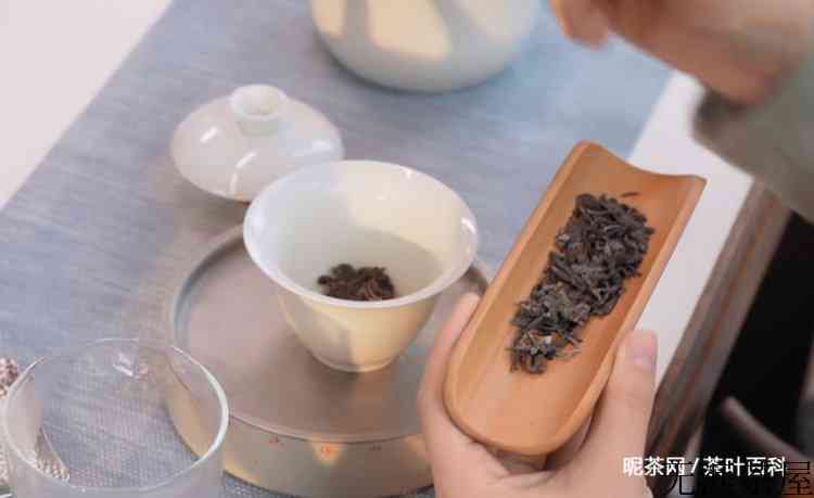 茶饼怎么冲泡