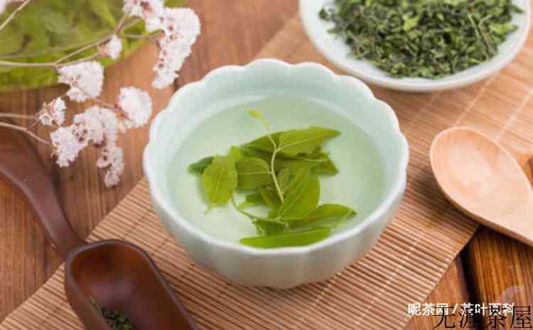 什么人不能喝酸枣叶茶
