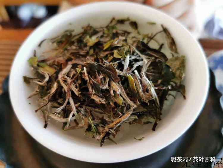 一年茶三年药七年宝是哪种茶