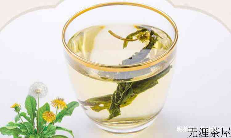 隔夜的蒲公英茶还能喝吗
