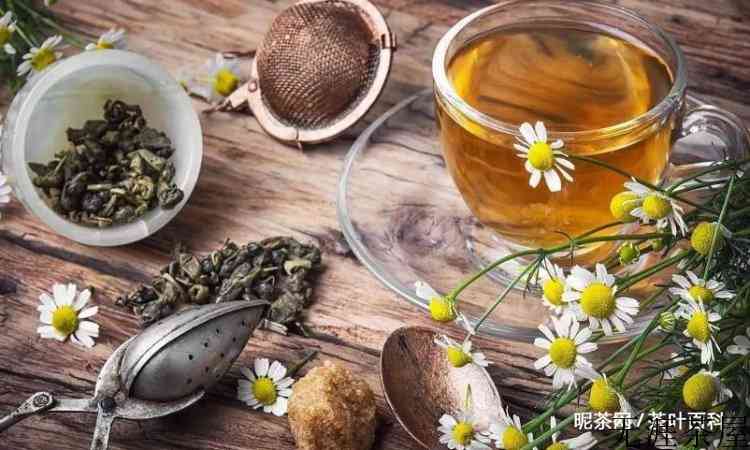 蒲公英加菊花泡水功效和作用