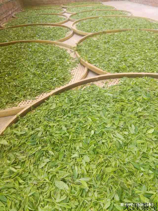 正山小种红茶的制作工艺流程