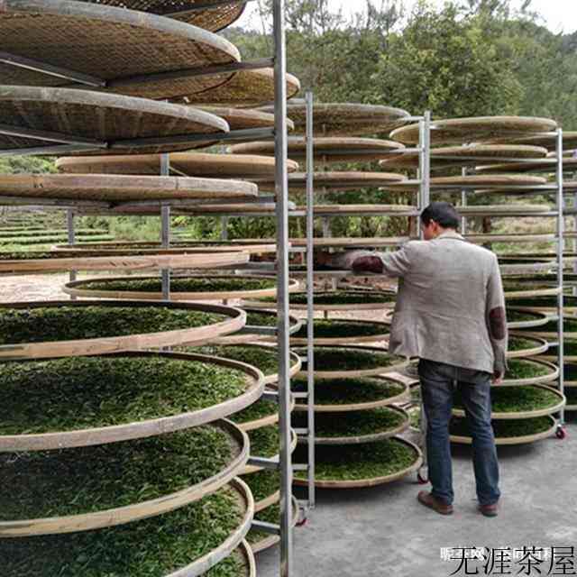 正山小种红茶的制作工艺流程