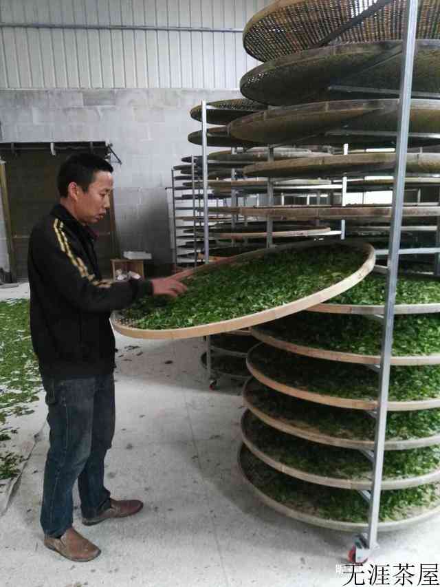 正山小种红茶的制作工艺流程