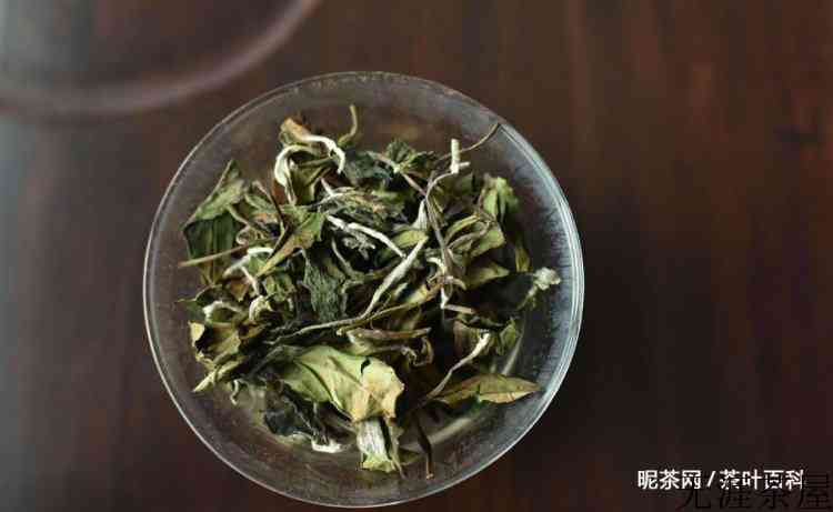 白茶白牡丹茶的特点