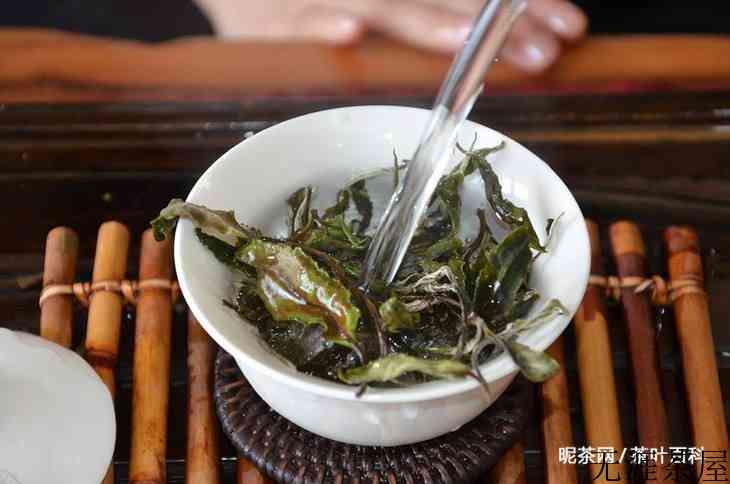 白茶白牡丹茶的特点