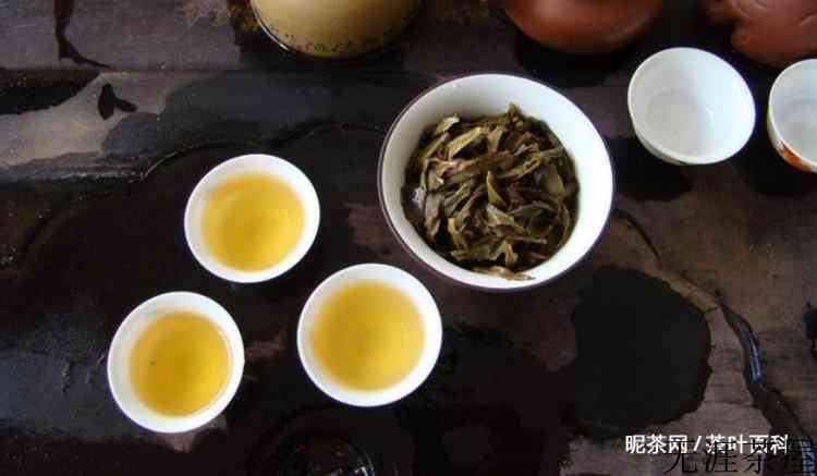 单从属什么茶类