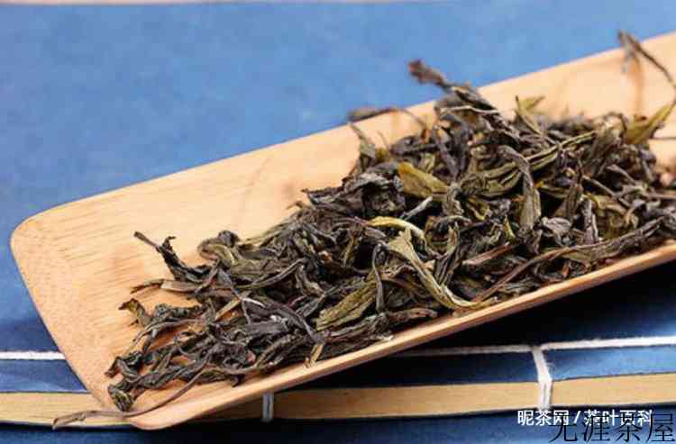 单从属什么茶类