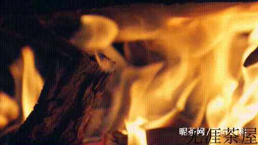 广西油茶的做法