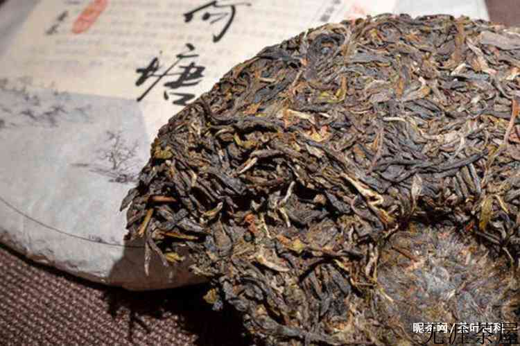 薄荷塘普洱茶的特点
