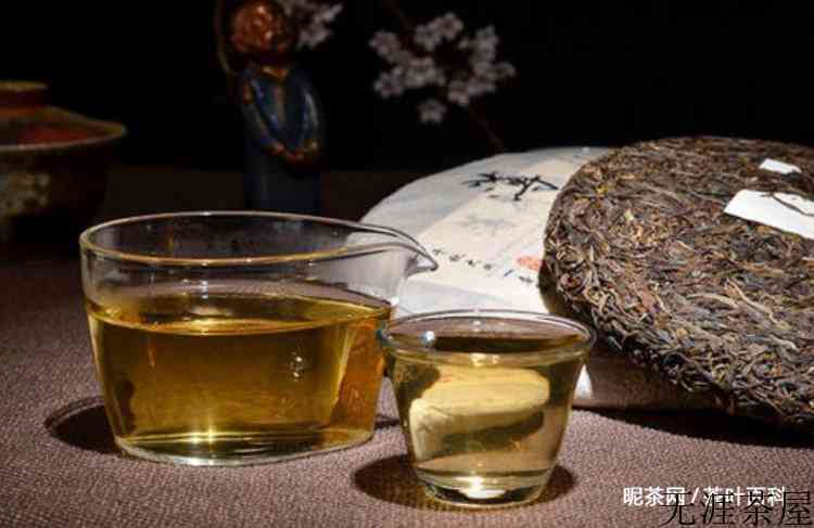 薄荷塘普洱茶的特点