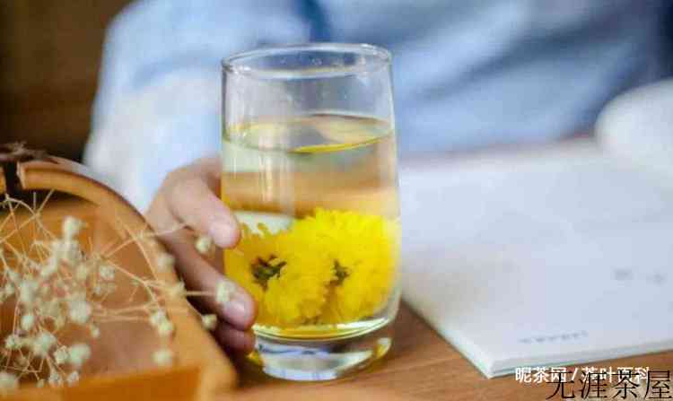 菊花花茶的功效与作用及副作用