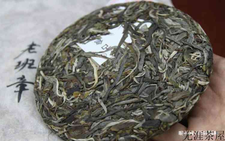 老班章茶树王的年龄