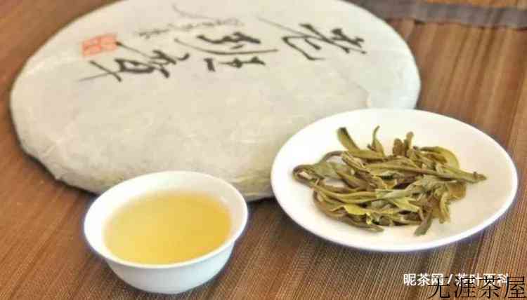 老班章茶树王的年龄