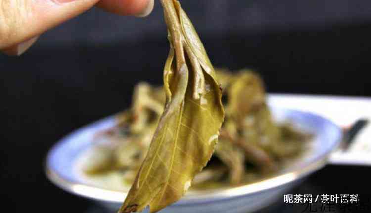 古树茶跟单株有什么区别