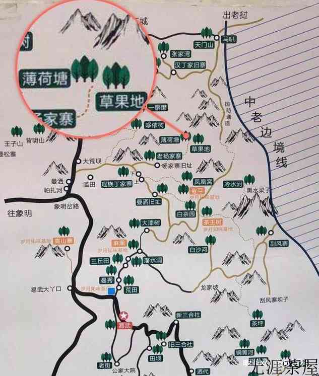 易武薄荷塘普洱茶特点