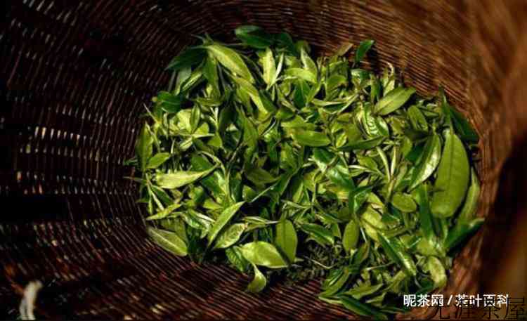 普洱茶熟茶经过什么工艺加工而成