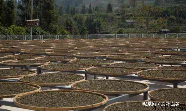 普洱茶熟茶经过什么工艺加工而成