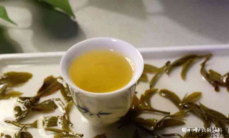 猫耳朵古树茶的口感特点