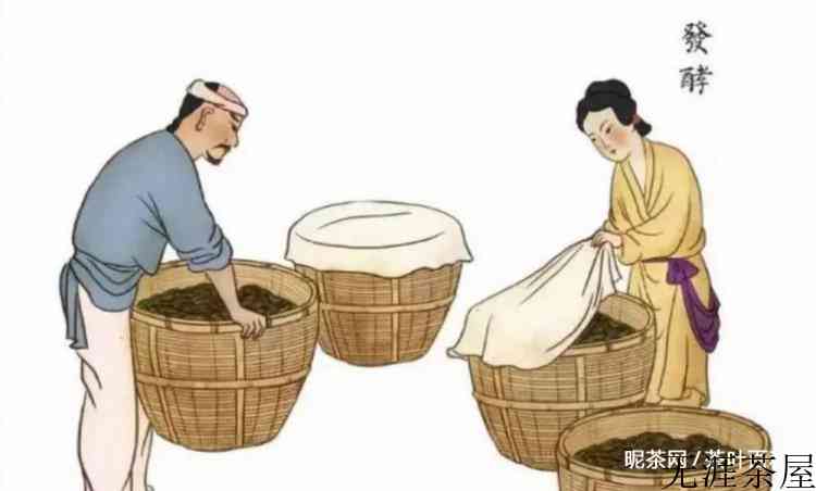 茶的发酵是什么意思