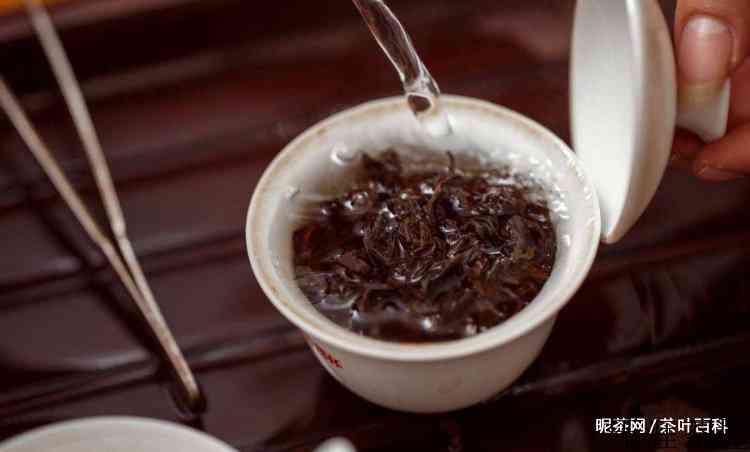 武夷岩茶怎么泡才正确