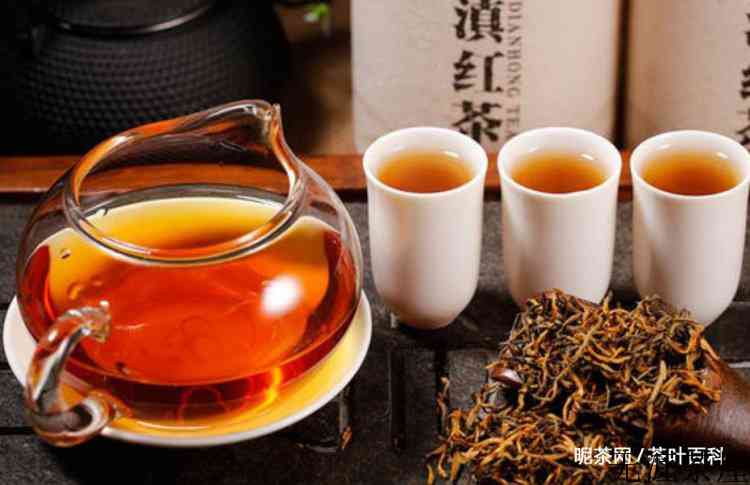 老年人应该喝什么茶对身体好