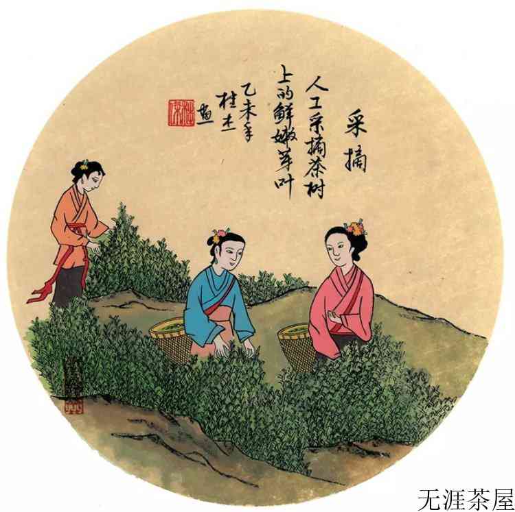 祁门红茶怎么做的