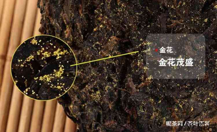 金花茯茶的功效与作用