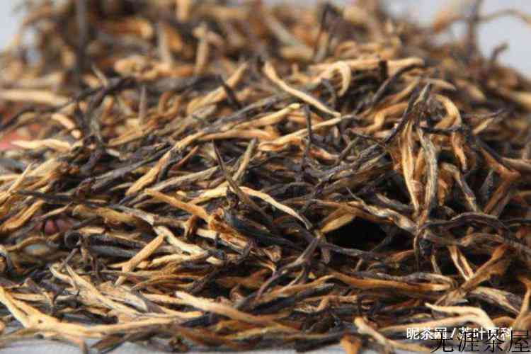 茶叶滇红是哪里产的