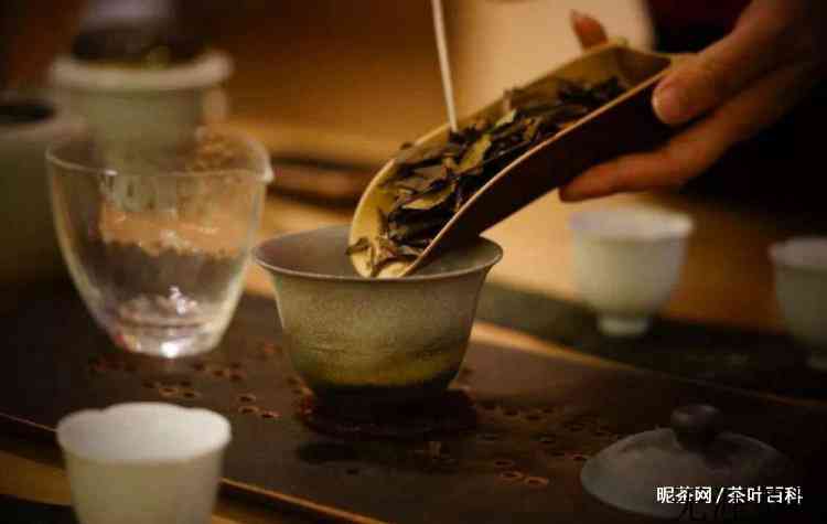 茶一般泡多久把它倒掉