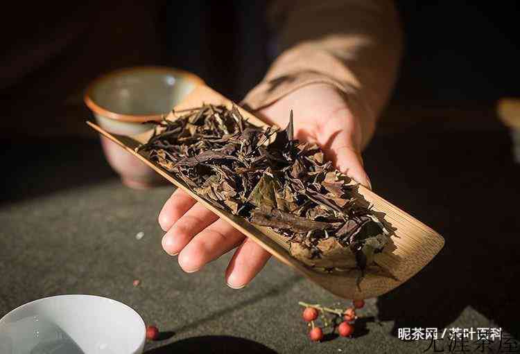茶叶的种类与功效