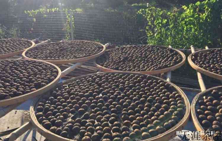 陈皮和普洱茶一起泡水的功效与作用